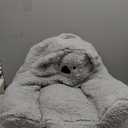 Delta Children Cozee Buddy Chair, Koala