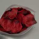 DomeStar 2000PCS Red Rose Petals, Silk Fake Rose Petals for Marry me, Proposal, Anniversary, Engagement, Love Decoration Romantic Wedding Party, Event Flower Decoration