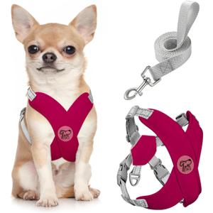 Pawaboo Small Dog Harness and Leash Set, Puppy Harness X-Frame No Pull No Choke, Dog Vest Harness Adjustable for Small Medium Sized Dogs, Soft Breathable Pet Harness for Walking Outing, S, Magenta
