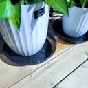 Plant Saucer 10 Inch 6 Pack, Plant Trays for Pots Heavy Duty Round Plastic Plant Saucers for Indoors Outdoors, Flower Pot Drip Trays, Plant Water Catcher Tray,Clear Black Flower Plant Pot Saucer