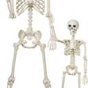 breesky Halloween Skeleton Model for Decoration: 5.4Ft Skeleton with 3Ft Skeleton with Movable Joints -Plastic Human Bones for Halloween Party, Yard Lawn Decoration