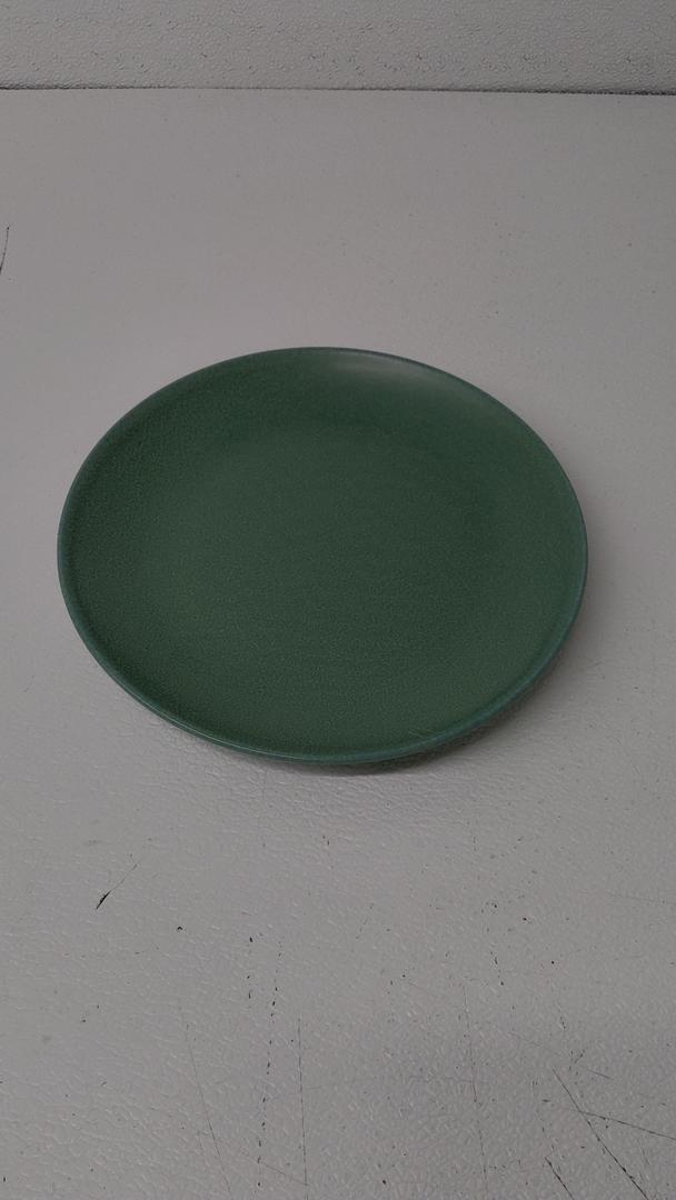 GALLERY Dinner Plates 10.5 GREEN