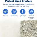 PetSafe ScoopFree Premium Crystal Cat Litter - Outperforms Clay Litter - Refill Packs - Reusable Tray Compatible - Fragrance Free - 4.3 lb Bags - 2 Pack