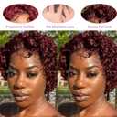 Burgundy Short Curly Pixie Cut Lace Front Wigs 6 Inch Human Hair 13X1 HD Lace Front Wigs Pre Plucked with Baby Hair for Black Women (6 Inch, Burgundy)