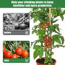 300 PCS Green Plant Fixing Clips,Plant Support Clips, Tomato Clips, Plastic Trellis Clips,Garden Clip for Fixing Stem and Vine