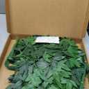 60Pcs Fake Nandina Greenery Stems 18" Artificial Silk Greenery Leaves for DIY Bouquet Filler Table Centerpieces Decor