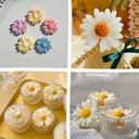 5 Pack Daisy Flower Fondant Mold.Small Flower Silicone Chocolate Candy Mold for Baking Ice Jello Candle Soap Cake Cupcake Dessets Decoration