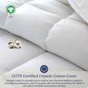 Queen Size Microfiber Duvet Insert - Ultra-Soft GOTS Certified Organic Cotton Cover Summer Spring Microfiber-Filled Hotel Collection Comforter, 150 GSM Lightweight Warmth