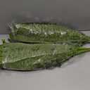 FOREST PRINCE 35" Fake Ferns Artificial Bush Plants for Outdoors, 2-Pack
