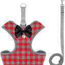 Rypet Small Dog Harness and Leash Set - No Pull Pet Harness with Soft Mesh Nylon Vest for Small Dogs and Cats Red L