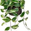 Oairse Artificial Hanging Plants Fake Hanging Plants with Pots Faux Golden Pothos N Joy Potted Plant Wall Plant with Basket Pot for Wall Shelves Bedroom Bathroom Indoor Outdoor