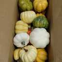 Winlyn 30 Pcs Assorted Rustic Harvest Artificial Pumpkins Gourds Squashes Decorative Fall Pumpkins Fake Foam Pumpkins Autumn Party Thanksgiving Halloween Table Centerpiece Wreath Mantle Bowl Filler