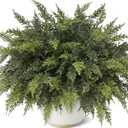 18" Real Touch Cedar Branches -24 Pcs, Artificial Christmas Cedar Branch Realistic Fake Pine Picks Faux Greenery Plants Stem for Vase DIY Crafts Garland Wreath Indoor Outdoor Home Decor