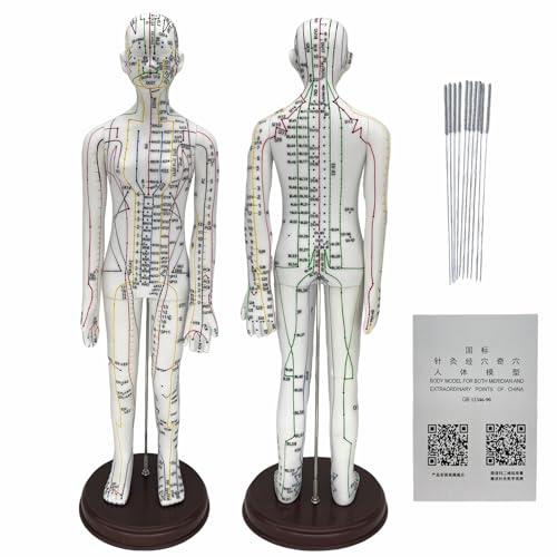 Body Acupuncture Model 20.5" - with English Points, Acupuncture Doll, Meridians Acupuncture Point Model, High Definition Clear Acupoint for Student Practice, Acupuncturists Training (Female Model)