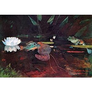 Posterazzi The Mink Pond Poster Print by Winslow Homer, (20 x 28)