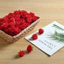 SITUMEIZI 100 Pcs 1.3 inches Mini Red Rose Head Fake Red Roses Artificial Flowers for Home DIY Flower Wall Mother's Day Party Birthday Decor