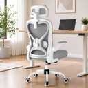 Ergonomic Office Chair for Long Hours and Back Pain, 3.5" Cushion, 330 LBS