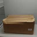 GarveeHome Zebra Taupe Washable Rugs 8x10 for Playroom Vintage Jungle Woodland Forest Safari Animal Print Rug Low Pile Botanical Kids Rugs for Living Room Kitchen Nursery Room