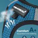 FAYOGOO Cat Harness, Cat Leash and Harness Set for Walking Escape Proof, Harness for Small Cats/Small Dogs, Large Kitten/Puppy Harness and Leash, Harness for Cats (Tranquil Teal, XX-Large)