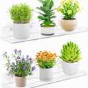 Lifewit Window Plant Floating Shelves 15 inch, 2 Pack Acrylic Suction Cup Shelf, Window Sill Extender for Indoor Succulent Plants, Micro Greens, Seed Starter Pots, Herb Planters