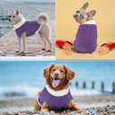 2 x Small Dog Sweaters with Leash Hole Turtleneck Dog Sweaters Knitwear Boys Girls Warm Soft and High Stretch Pet Clothes for Fall WinterPet Shirts for Kitten Puppy Purple Large