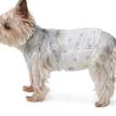 Amazon Basics Super Absorbent Male Dog Diapers, Leak-Proof Disposable Wrap with Wetness Indicator, Secure Fit, Breathable, X-Small, 30 Count