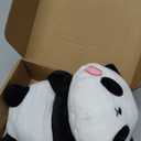 SQEQE Weighted Panda Plush, Weighted Panda Stuffed Animal, Cute Plushies Soft Bear Pillow Toy Gift for Kids Adults 9.8 Inch, 0.8 Lbs