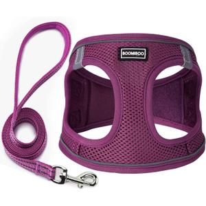 Dog Harness with Leash Set, No Pull Adjustable Reflective Step-in Puppy Pet Vest Harnesses for Small Medium Large Dogs and Cats,Cranberry M (M(Chest:16"-18"))