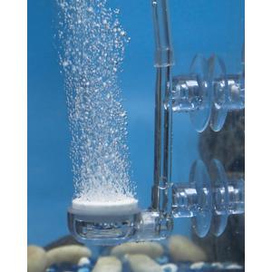 Pawfly Aquarium Air Stone Disc, 0.9 Inch Tiny Fish Tank Air Stone Kit Ultra-High Dissolved Bubbler Airstone with Accessories for Aquarium Fish Tank and Small Bucket(Pump and Tubing Not Included)