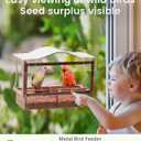 Window Bird Feeder, Metal - with Strong Suction Cups, Large Outdoor for Viewing Bird Watching Gift (Curved)