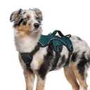 rabbitgoo Escape Proof Dog Harness Medium, Soft Padded Full Body Pet Harness, Reflective Adjustable No Pull Vest with Lift Handle and Leash Clip for Walking Hiking Training, Dark Green, M (Medium (Pack of 1)