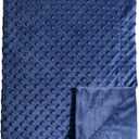 david's kids Micro Fleece Minky Baby Blanket for Boys Girls Neutral with Double Layer and Soothing Raised Dots, 40x50 Inches Breathable and Soft Lightweight Receiving Blanket for Newborns, Navy Blue