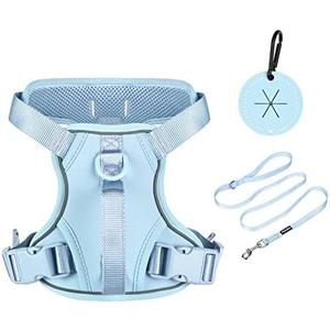 Petmolico Dog Harness for Small Dogs, Cute Harness Vest with Two Leash Clips and Soft Handle, Reflective Easy Walk Puppy Vest - Light Blue, X-Small