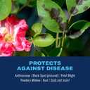 BioAdvanced 3-in-1 Insect, Disease, and Plant Mite Control - Insecticide, Fungicide & Miticide - Ready-to-Spray- Prevents Pests and Diseases - Up to 30 Days Protection - 32 fl oz Bottle