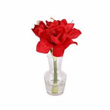 Silk Amaryllis in Glass Vas