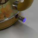 Hazel Quinn X Eduardo Recife Electric Kettle - 1200W Fast Water Boiling, 1.7L/57oz, All 304 Stainless Steel Interior, BPA-Free, Auto Shut-Off, Cordless Retro Teapot with Thermometer - Floral Patterned (Floral Painted Design)