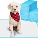 Basics LeakProof Dog and Puppy Potty Training Pee Pads with QuickDry 5Layer Super Absorbent Surface for Dog Training, Floor Protection, Regular Size 22x22", Blue & White, 50 Count