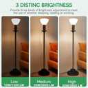 2-Pack Mogul Base 3 Way Bulbs LED 10/20/30 Watts,Replacement Incandescent Light Bulb 100/200/300W,2700K Soft White,PS25,for Antique Floor Lamp