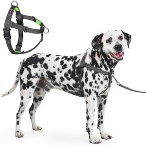 Freedom No Pull Dog Harness for Dogs, Easy Walker, Front Clip, Anti Pull with Two Stainless D-Rings, Comfortable, Sewn-in Instructions Tags for Easy Use (Black, XXL)