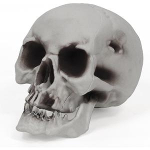 MOKRY PARTY Human Skull Skeleton Life Size for Halloween Skull Model 1:1 Replica Plastic Skull Head Graveyard Outdoor Decor