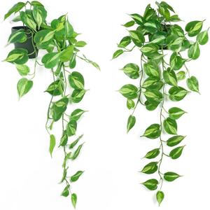 Realistic Artificial Pothos Vines with Pots - Fake Hanging Plants for Indoor Decor, Low Maintenance Silk Faux Greenery (2 PCS)