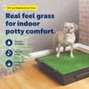 PetSafe Pet Loo Pet Potty Replacement Grass - Medium - Easy to Clean