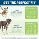 2 Hounds Design Freedom No Pull Dog Harness, Adjustable Harness and Leash Set, Easy Walking & Comfortable Control, Fits Small, Medium & Large Dogs, Solid Colors, Made in USA, 1" MD, Raspberry