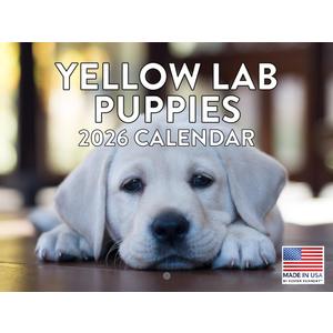 5 x Yellow Lab Puppy Calendar 2026 Monthly Wall Calender 12 Month | American Made In The USA