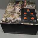 Boot Dryers Shoe Dryer: Boot Warmer and Deodorizer with Fan, Boot Dryer for Work Boots with Timer, Shoe Dryers for Sneakers (Black)