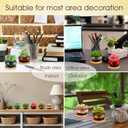 24 Pcs Ceramic Succulent Pots 2.5 Inch Small Plant Pots Indoor with Drainage and Bamboo Saucers Colorful Succulent Flower Planters for Garden Plants Home Decor(Round,1.2 Inch H)