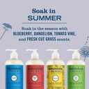 Mrs. MEYER'S CLEAN DAY Summer Hand Soap Set, includes Blueberry, Tomato Vine, Dandelion and Fresh Cut Grass