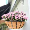 LaLaGreen Outdoor Hanging Baskets for Plants (20 Inch) Extra Large Black Metal Flat Iron Hanging Planter with Coco Liner Round Flower Pot Holder Hanger Deck Porch Modern Garden Balcony Country Decor (20" (51cm) x 1 Pack)