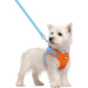 rabbitgoo Dog Harness Small Sized and Leash Set, Step in Soft Light Puppy Vest, Breathable Mesh Pet Harness, Reflective for Safe Easy Walking, Blue & Orange S (S (Chest: 15.1 - 16.5"))