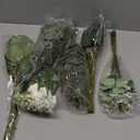 110 Pcs 7 Kinds Mixed Artificial Eucalyptus Stems and Faux Flowers,Fake Silver Dollar Eucalyptus Leaves Stems Bulk Real Touch Leaf Branches for DIY Bouquets Floral Arrangement Wedding Home Decor (Green)